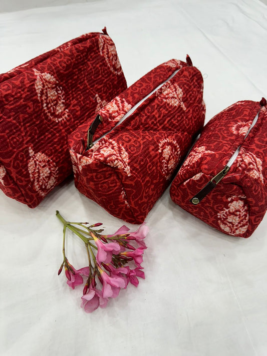 Toiletry bag kit of 3 bags